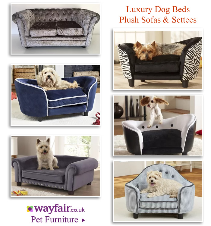 Snuggle Pet Beds Dog Sofas Settees Chesterfield Love Seats for Dogs