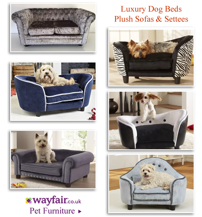 Luxury Snuggler Dog Sofas Loveseat Settees Plush Pet Beds Snuggle Pet Beds Dog Sofas Settees Chesterfield Love Seats for Dogs